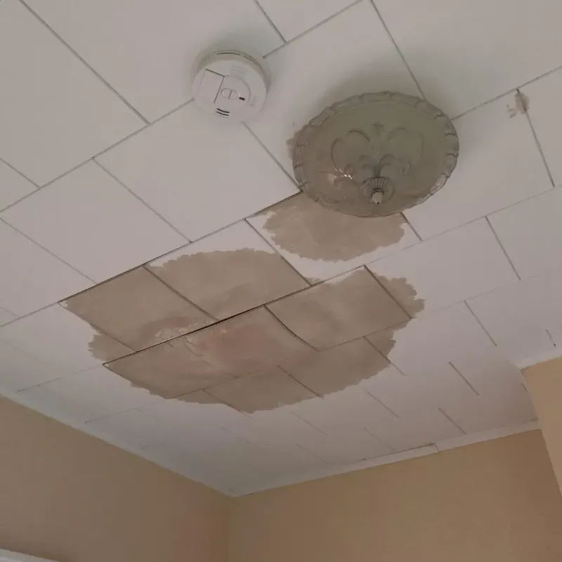 Ceiling Water Damage Repair in Bradley, ME