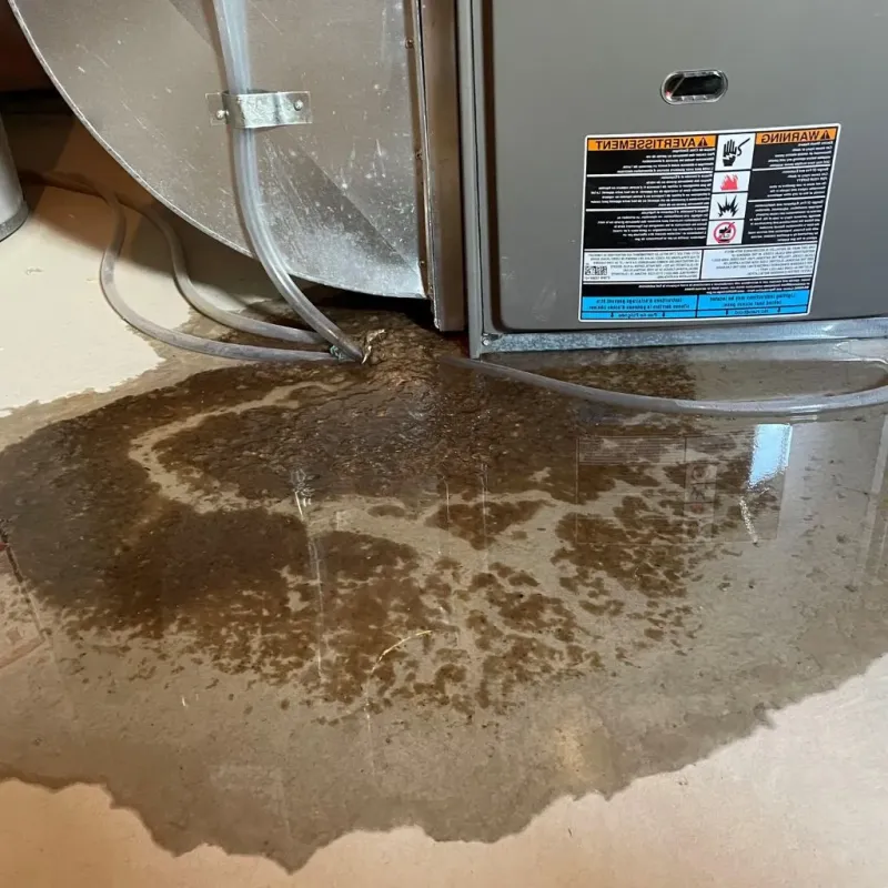 Pipe Burst and Leak Restoration in Bradley, ME