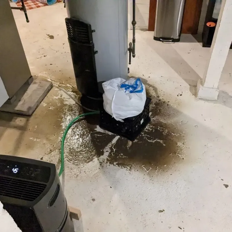 Sewage Backup Cleanup Service in Bradley, ME